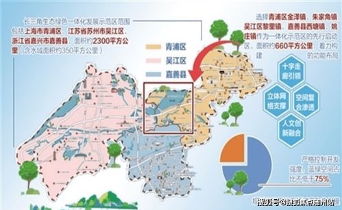 嘉善信息技術咨詢服務 專業一對一，熱情為您解答